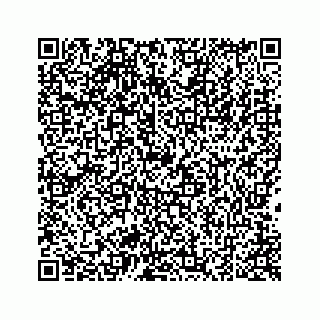 vCard 78424936729