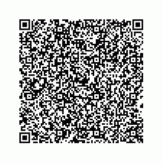 vCard 78424937520