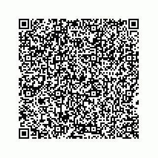 vCard 78424937521