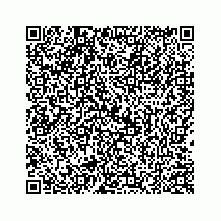 vCard 78424937551