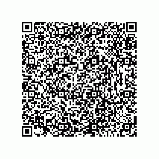 vCard 78425333119