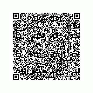 vCard 78425333168
