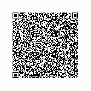vCard 78425333199