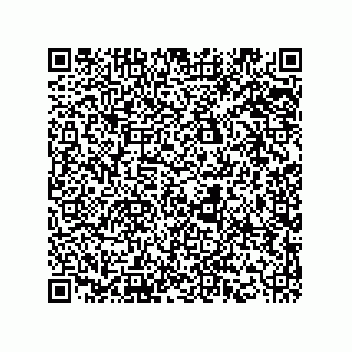 vCard 78425334111