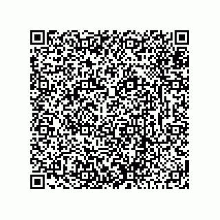 vCard 78425338121