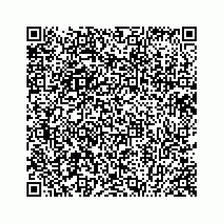 vCard 78425571038