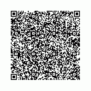 vCard 78425571381