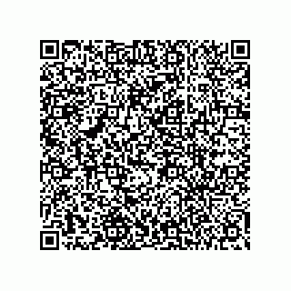 vCard 78432272080