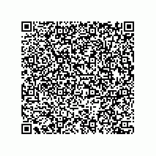 vCard 78432272081