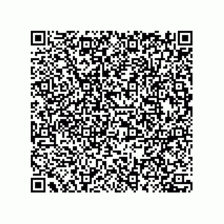vCard 78432272089