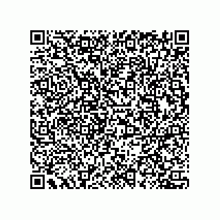 vCard 78432272209