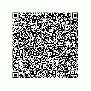 vCard 78432272381