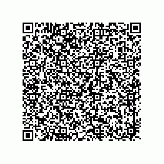 vCard 78432340319
