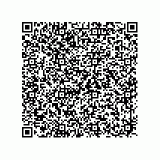 vCard 78432380040