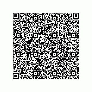 vCard 78432380081