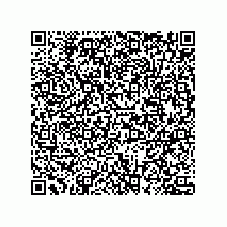 vCard 78432380281