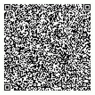 vCard 78432400085