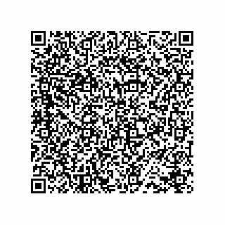 vCard 78432400211