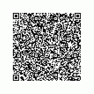 vCard 78432400273