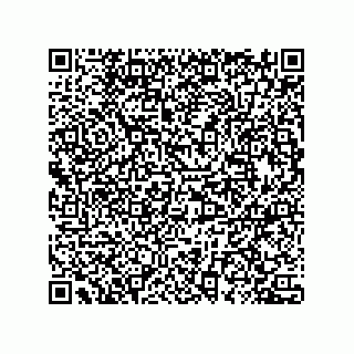 vCard 78432400281