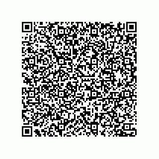 vCard 78432400290