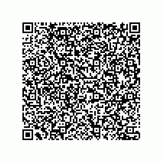 vCard 78432400311