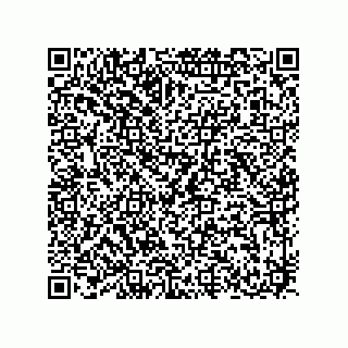 vCard 78432400313