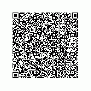 vCard 78432400317