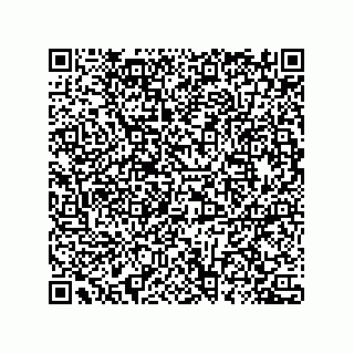 vCard 78432400319