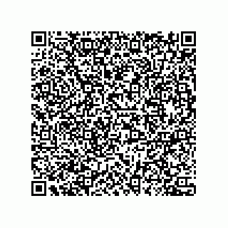 vCard 78432400331