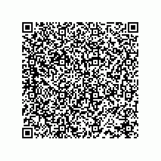 vCard 78432400381