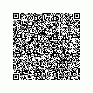 vCard 78432400384