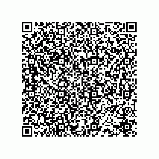 vCard 78432400390