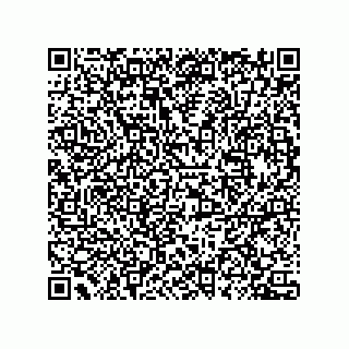 vCard 78432400393