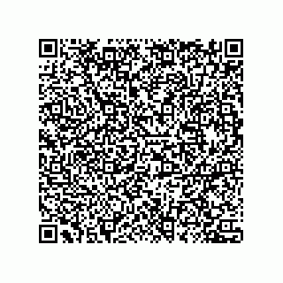 vCard 78432400399