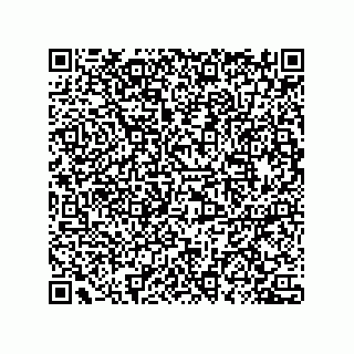 vCard 78432490039