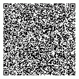 vCard 78432490041