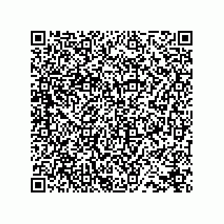 vCard 78432678881