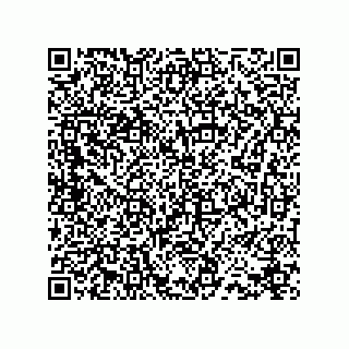 vCard 78432990387
