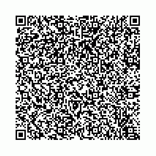 vCard 78434252313
