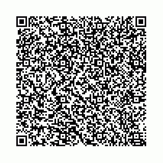 vCard 78434538315