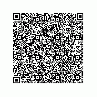 vCard 78435200313