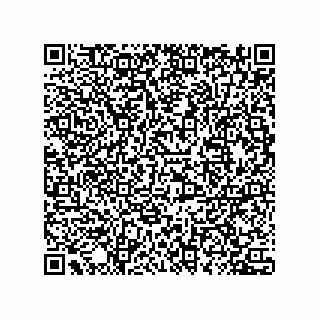 vCard 78435500013