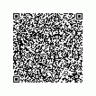vCard 78435500081