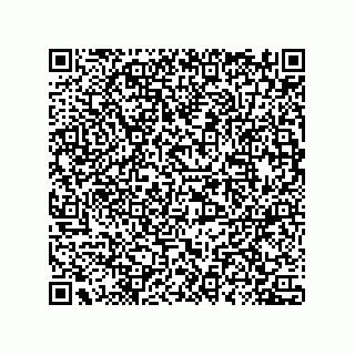 vCard 78435500131