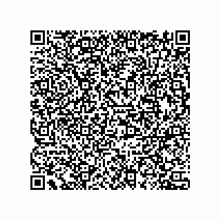 vCard 78435500281