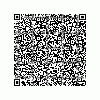 vCard 78435500317