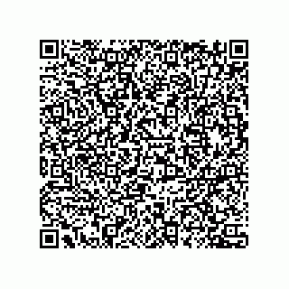 vCard 78435500319