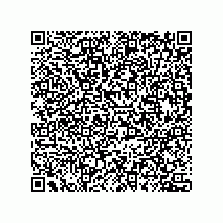 vCard 78435500380