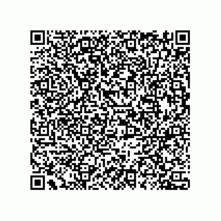 vCard 78435500381
